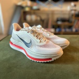 Nike Pegasus Premium Men’s 11